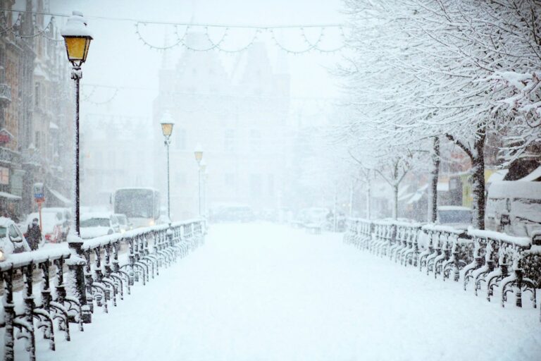 A snowy urban street is lined with street lamps and trees. The road and sidewalks are covered in a thick layer of snow, and parked cars are partially visible. Snowflakes continue to fall, creating a wintry atmosphere with limited visibility.