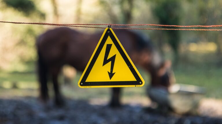 Een geel driehoekig waarschuwingsbord met een zwart bliksemschichtsymbool hangt aan een draadhek, wat duidt op een elektrisch hek. Een wazig bruin paard staat op de achtergrond bij een waterbak. De setting is buiten met groen.
