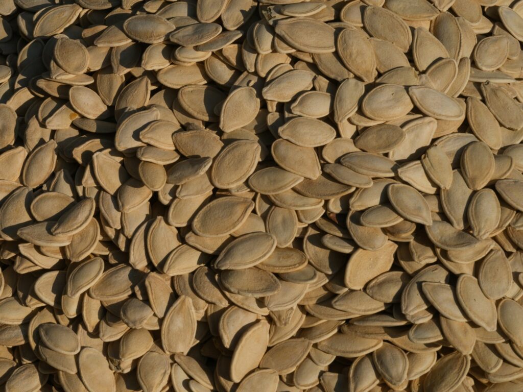 Een close-up van een grote stapel gedroogde, beige pompoenpitten. De pitten zijn ovaalvormig, met een glad oppervlak en zitten dicht op elkaar gepakt, waardoor het hele frame bedekt is.