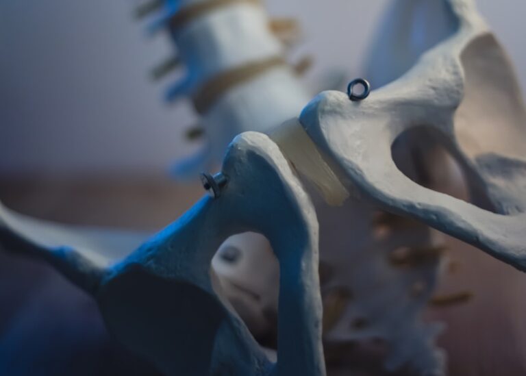 Er wordt een close-up van een menselijk wervelkolommodel getoond, met duidelijk zichtbare wervels en bekkenbotten. Het model staat rechtop op een oppervlak, met zachte verlichting die de details van de structuur benadrukt.