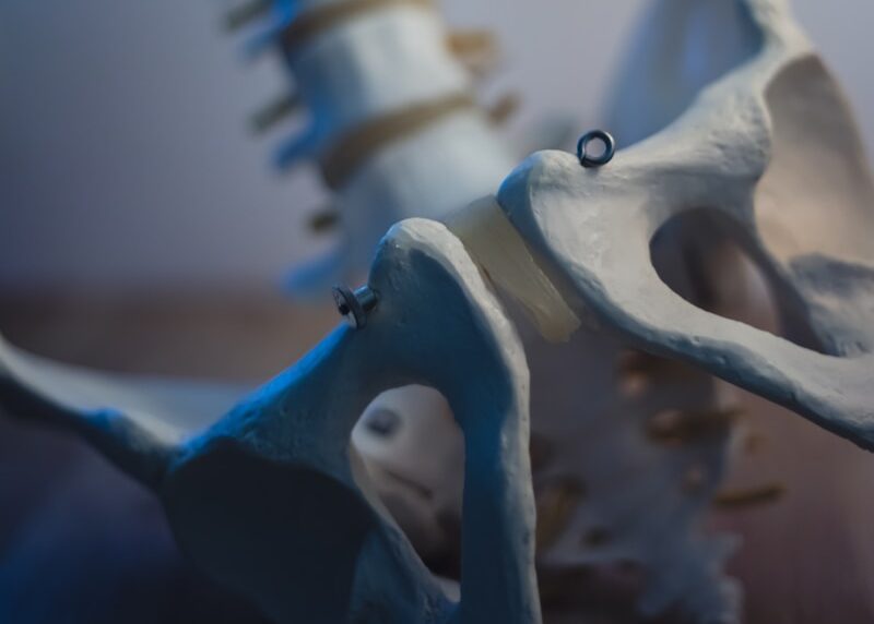 Er wordt een close-up van een menselijk wervelkolommodel getoond, met duidelijk zichtbare wervels en bekkenbotten. Het model staat rechtop op een oppervlak, met zachte verlichting die de details van de structuur benadrukt.